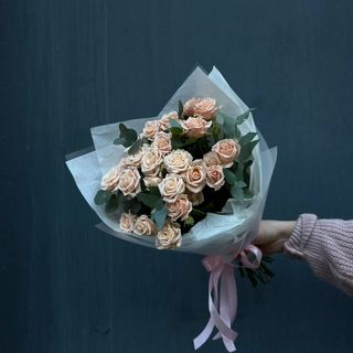 4 ტოტი ანტონინა