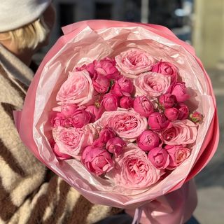 Pink O'hara და Silva Pink