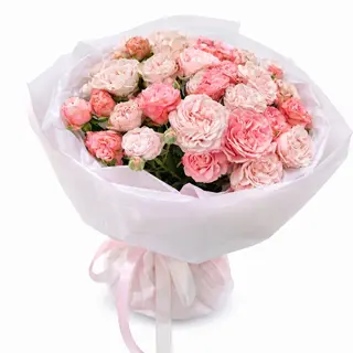 ჯუჯა ვარდების მიქსი/13 ტოტი