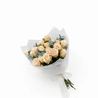 ჯუჯა ვარდი “Antonina”,4 ტოტი