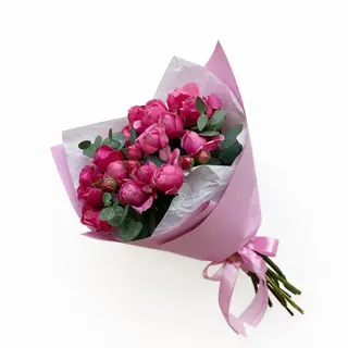 ჯუჯა ვარდი “Silva Pink” ,4 ტოტი