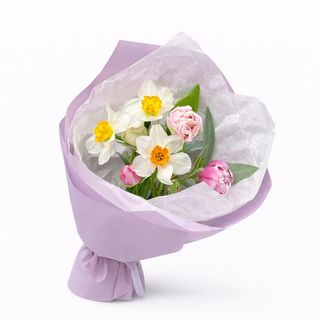 ნარცისები და ტიტები