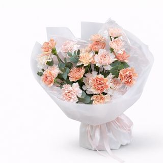 დიქნტუსის მიქსი