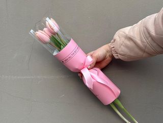 3 ვარდისფერი ტიტა