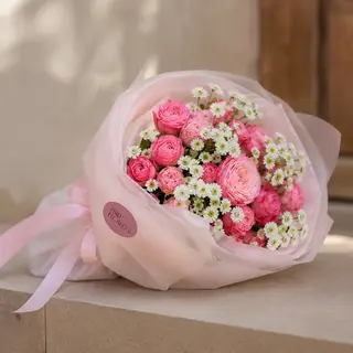 Peach Blush