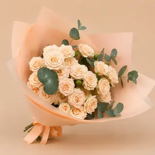 ჯუჯა ვარდი “Antonina”