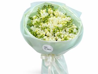 ფრეეზია