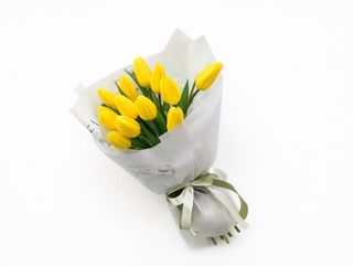 11 ყვითელი ტიტა