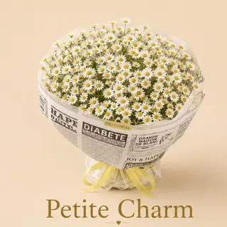 Petite Charm (გვირილები)