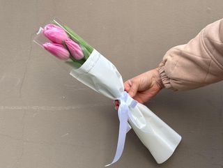 3 იასამნისფერი ტიტა