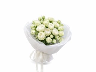 თეთრი ჯუჯა ვარდი