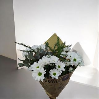 #6 სუფთა გრძნობა