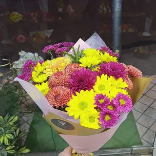 #16 ფერადი ქრიზანთემა