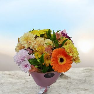 #8 ფერების სიხარული