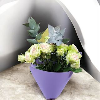 #9 ელეგანტური ჰარმონია