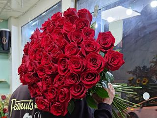 #34 Valentines Favourite 100 Roses