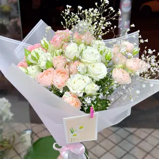 #1 Rose Harmony