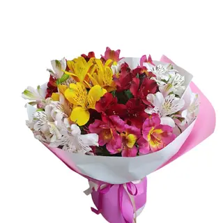 #26 Mix Colour