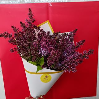 #38 იასამანი