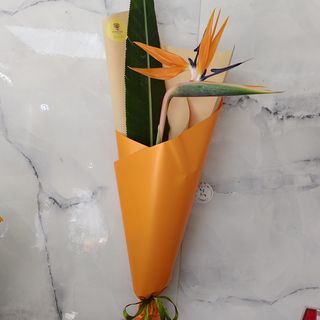 Bird of Paradise / Strelitzia