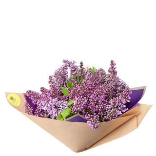 #43 იასამანი 2