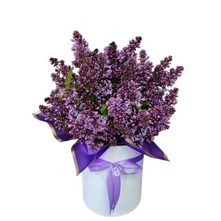 #45 Lilac Composition