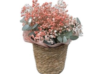 გიფსოფილების კალათი - ვარდისფერი