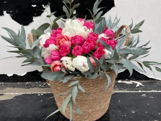 ტიტების და ევკალიპტის კალათი