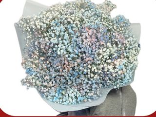 ლურჯი გიფსოფილების დიდი თაიგული