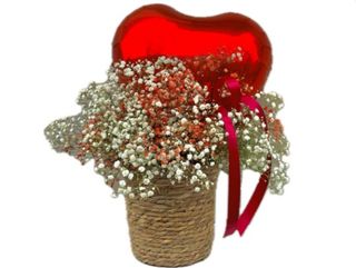 გიფსოფილების კალათი - ფოლგირებული ბუშტით