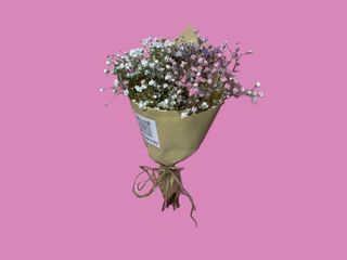 ფერადი გიფსოფილების მინი თაიგული