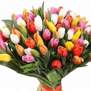 შერეული ფერის ტიტების თაიგული