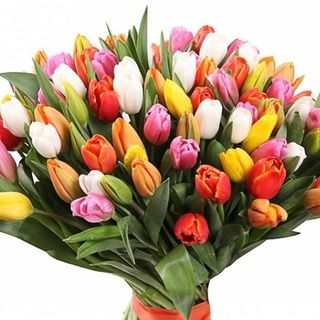 შერეული ფერის ტიტების თაიგული