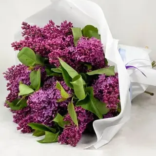 იასამნების თაიგული