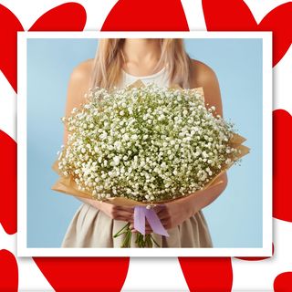 თეთრი გიფსოფილას თაიგული 15 ტოტი