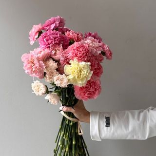 ფერადი მიხაკი 20 ცალი