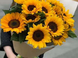 მზესუმზირა 10 ცალი