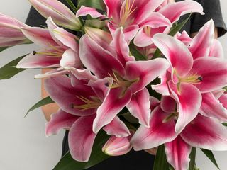 ვარდისფერი ლილია 5 ტოტი