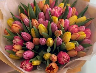 100 ფერადი ტიტა / 100 Tulips