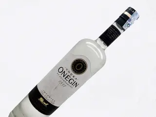 Onegin 1ლ