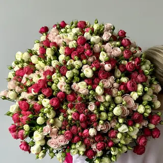 Giant Bouquet of Colorful Spray Roses