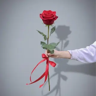 1 red rose