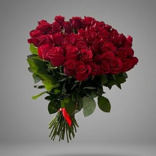 Bouquet of 51 Red Roses "Premium"