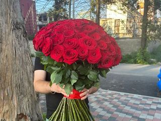101 Red rose