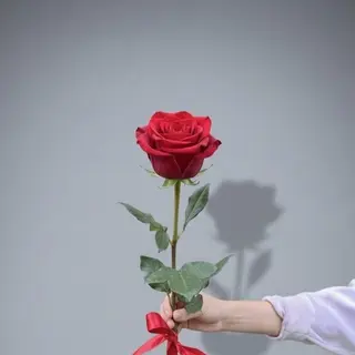 1 red rose