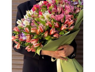 ასტრომერიების თაიგული