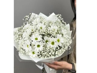 ქრიზანთემები და გიფსოფილები