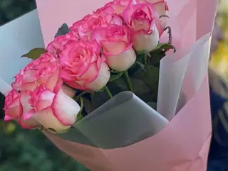 ვარდისფერი ვარდები (15 ც)