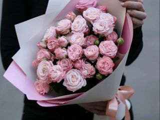 სპრეი ვარდები