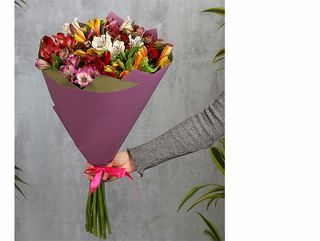 ასტრომერიების თაიგული